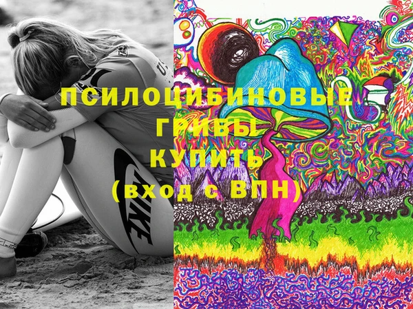спиды Алексин